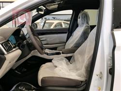 بي واي دي سونغ بلس